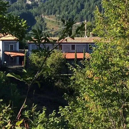 Masseria Degli Alberti 农家乐 莫尔曼诺