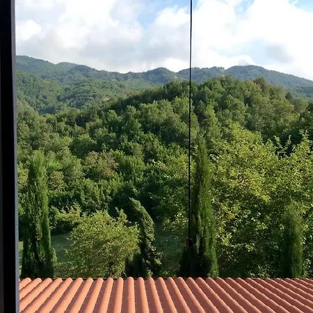 Masseria Degli Alberti 农家乐