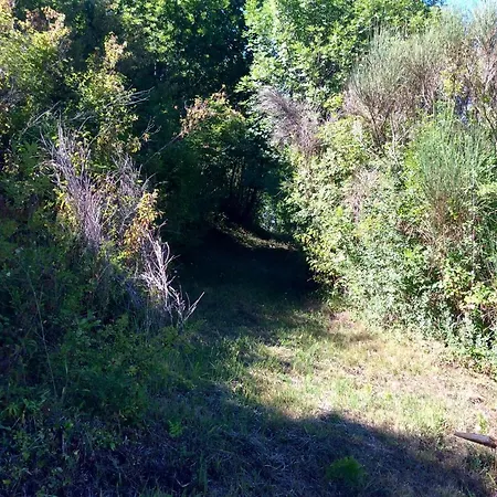 Masseria Degli Alberti Bauernhof