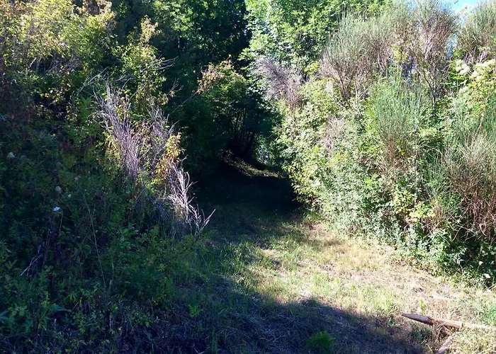 Masseria Degli Alberti Alojamento de Turismo Rural